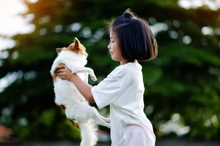 People and little Chihuahua dogs. Happiness of dog owners. Friends of different breeds.の写真素材