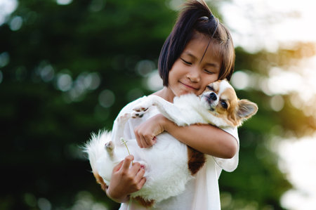 People and little Chihuahua dogs. Love of people and little Chihuahua dogs. Happiness of dog owners. Friends of different breeds.の写真素材