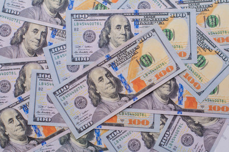 The dollar is paper currency, banknotes, financial income, and income from work, earning money, and...