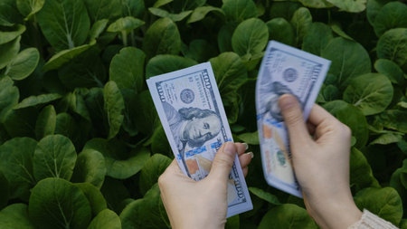 Counting dollars from hard work and saving, good financial planning, financial growth goals, and financial success.の写真素材