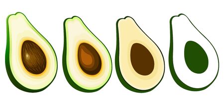 avocado fruits isolated on white background.