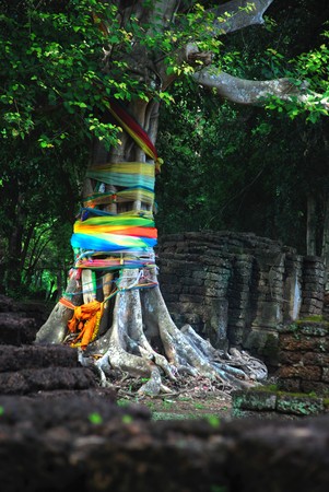 Pho tree in Sri Satchanalaiの写真素材