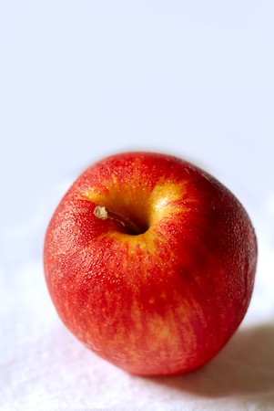 Coloured Applesの写真素材