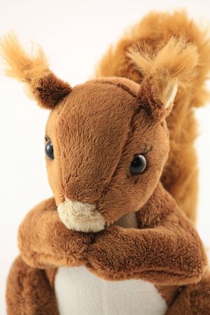 toy squirrelの写真素材