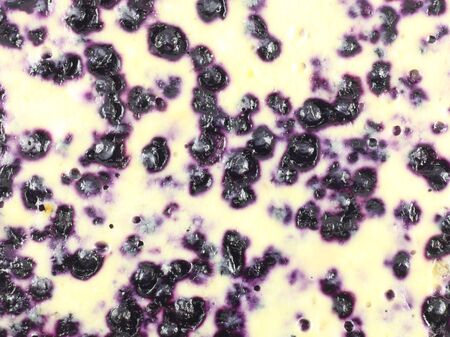 blueberry patternの写真素材