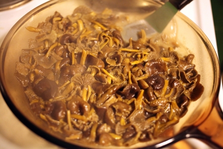 chanterelles on frying panの写真素材