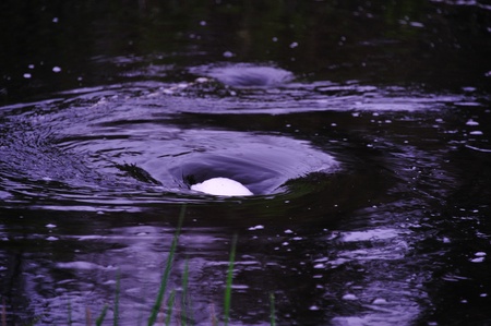 Black Hole in Creek in Wisconsinの写真素材