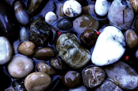 Oregon Coast Rocks Washed By The Pacific Oceanの写真素材