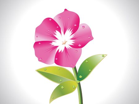 abstract pink flower vector illustrationのイラスト素材