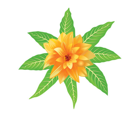 abstract artistic creative flower with mango leaf vector illustrationのイラスト素材