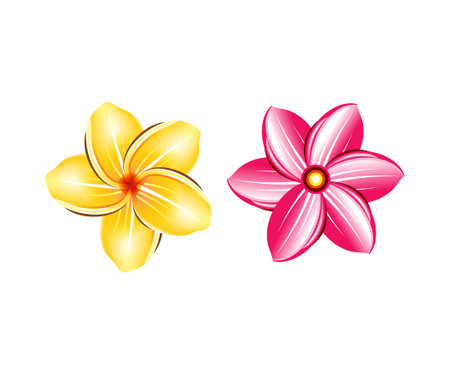 abstract artistic creative detailed red flower vector illustrationのイラスト素材