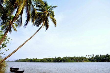 Kerala beautyの写真素材