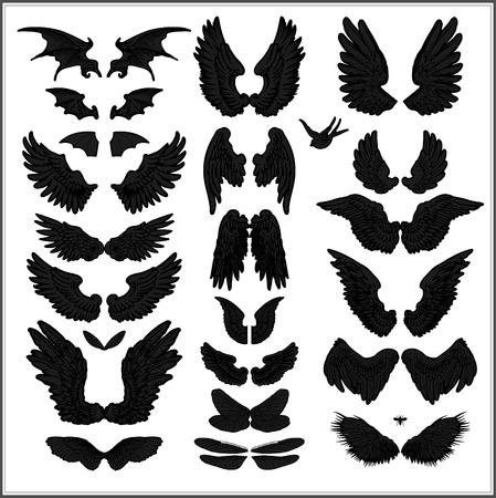 vector set of wingsのイラスト素材