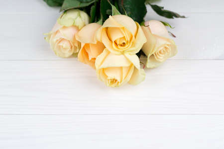 Bouquet of beige roses on white wooden vintage background, flat lay, top view, copy space. Mothers day. Valentines day.の写真素材