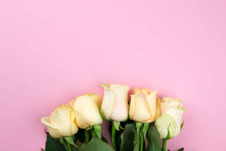Bouquet of beige roses on pink background, flat lay, top view, copy space. Mothers day. Valentines day.の写真素材