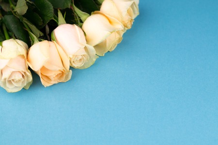 Bouquet of beige roses on blue background, top view, copy space. Mothers day. Valentines day.の写真素材