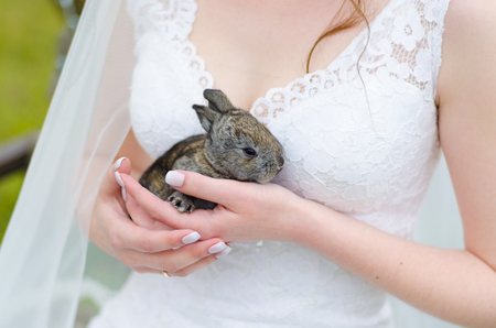 Young woman bride smiling and holding cute rabbit over park summer nature outdoor. White wedding dress, green background.の写真素材