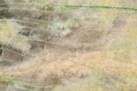 Marble stone texture macro close up background, crystals and minerals, rock texture.の写真素材