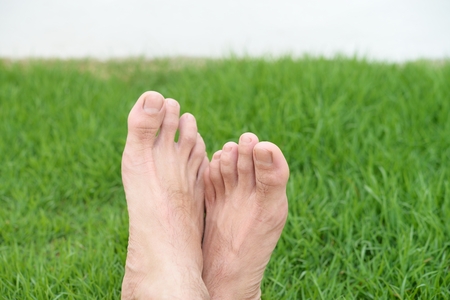Relax feet in the green garden backgroundの写真素材