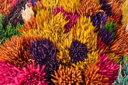 Colorful flower abstract texture  background の写真素材