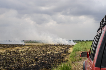 Flaming straw in the rice field; Global warming problem; Car in the burning rice fieldの写真素材
