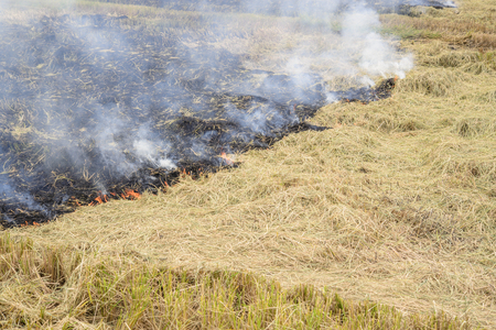 Flaming straw in the rice field; Global warming problem; Thailandの写真素材