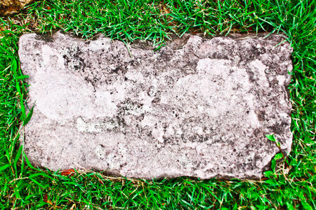 Rock on green grassの写真素材
