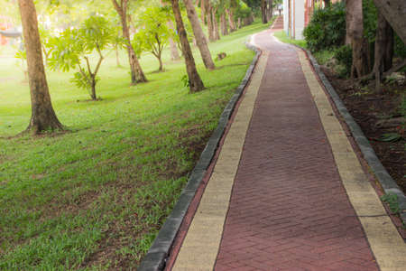 The walk in the park. in public park during early morning for healthy and good life.
