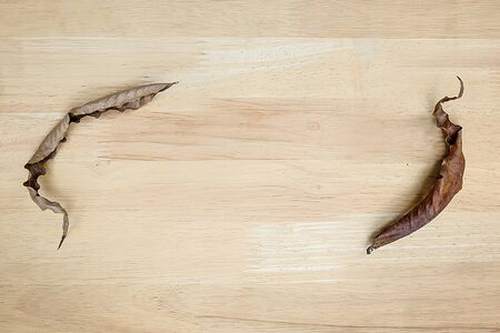 Dry leaves on wooden floor, background in design space for text.の写真素材