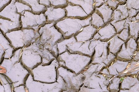 Abstract crack surface of mud, Ground in drought, Soil texture and dry mud, drought environmental...