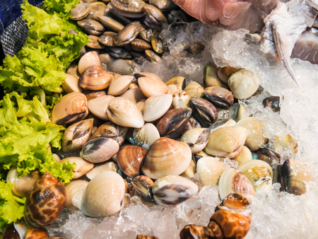 Fresh shellfish on ice from the fish market. Shellfish such as clams are delicious, Seafood on ice at Night Market in Hua Hin, Thailandの写真素材