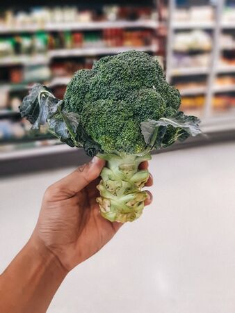 Left hand holding a broccoli, Fresh Broccoli in a pile at supermarket, Healthy Fresh Green raw Broccoli.の写真素材
