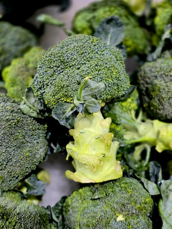 Healthy green organic raw broccoli vegetable. Fresh broccoli in supermarket.