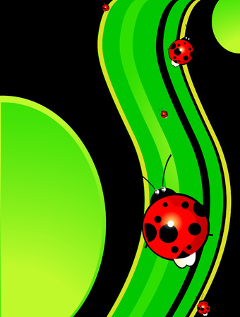 ladybird on the green waveのイラスト素材