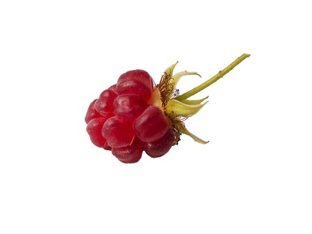 Ripe Fresh Raspberries On White Background
