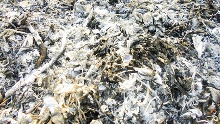 Scorched soil remains after a devastating forest fire. Ashes from fireの写真素材