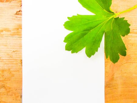 White sheet of paper on a wooden table with flowers. place to writeの写真素材