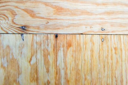 Texture of a wooden board. Tree background