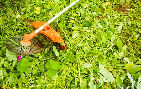 Mowing grass with an old gas mower. Seasonal garden cleaning with a lawn mower conceptの写真素材