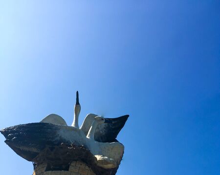 Monument of two swans in the park in sunny weather. white swans with black wings