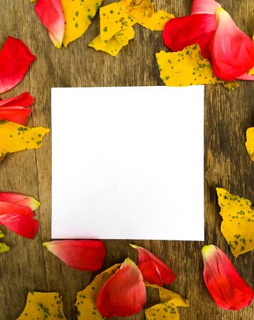 yellow apricot leaves and rose petals on a wooden board and a white sheet of paper for writing. place for textの写真素材