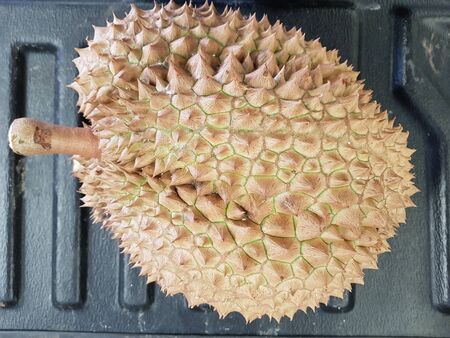 Durian Monthong varieties that are ripe on the black pick-up floor