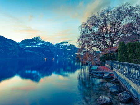 Sunset landscape with a tree on the shore of the lake. Autumn fog in the mountains.の写真素材