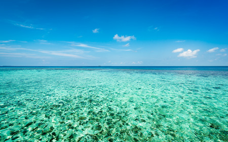 Turquoise water of the Indian Ocean. Corals on the sea floor. Maldives.の写真素材