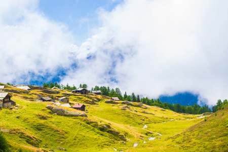 Walking along the paths in the Alps. Flowers on the meadow. Fog dissipated.の写真素材