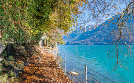 Path along mountain lake. The fallen orange and yellow foliage. Autumn clear and quiet day. Switzerland near city Bern.の写真素材