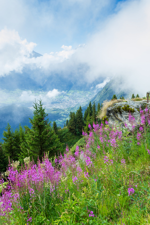 Fog over the mountains of Valais. Alpine meadows in bloom. Aerial view.の写真素材