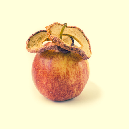 Fresh apple and dried apples slices.  Storing vitamins for the winter and spring period. Healthy food. Isolated objects on a white background.の写真素材