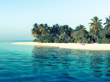 Panorama of tropical island Beach with palm treesの写真素材