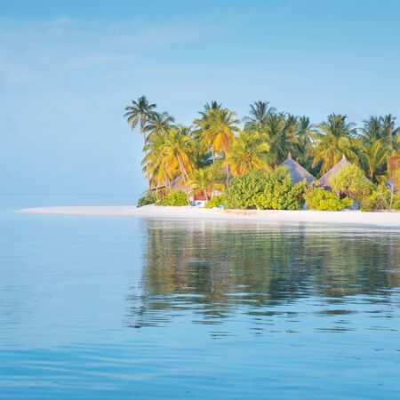 Tropical island in the Indian Ocean. White sand beach. Tropical palm trees.の写真素材
